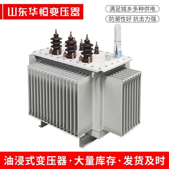 S13-10000/35新抚新抚新抚油浸式变压器厂家